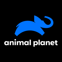 Animal Planet HD